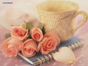 ignb5_wdeBsmHs30RCcHIQ