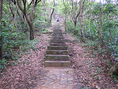 vxpAWkPRtlxnxVSTtyd91g