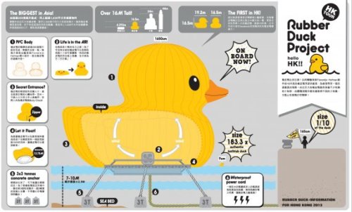 duck-structure-570x345