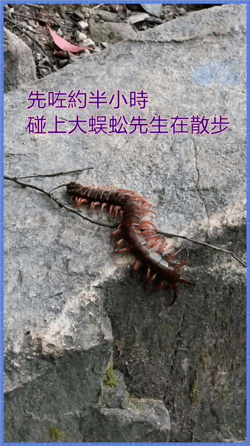 PhotoGrid_1381740047116