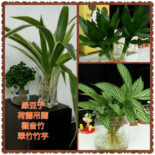 PhotoGrid_1382183986013