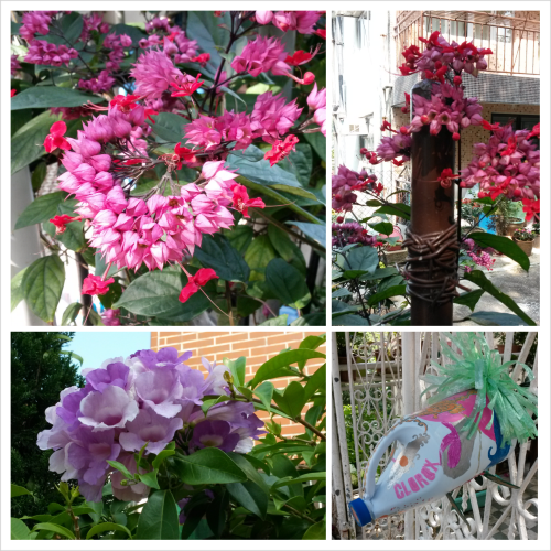 PhotoGrid_1384659001594