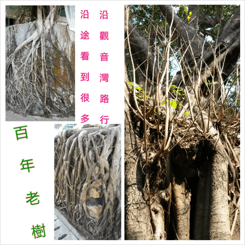 PhotoGrid_1384659680038