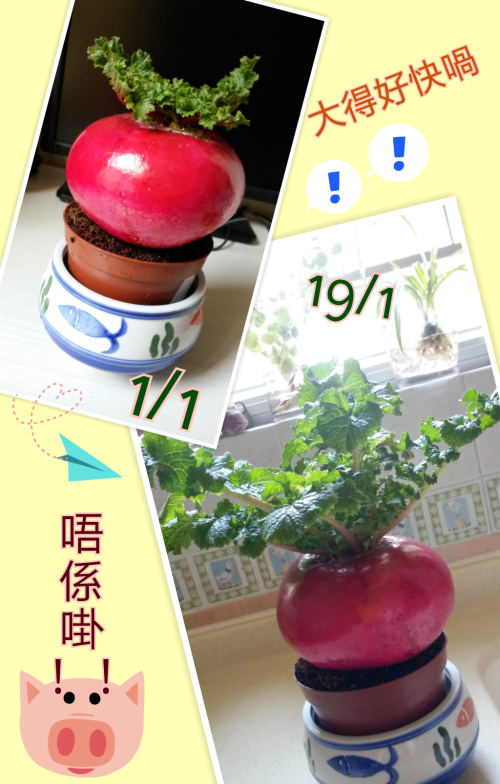 PhotoGrid_1390093961946