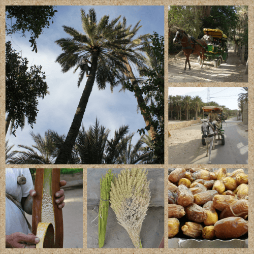 PhotoGrid_1399793902894