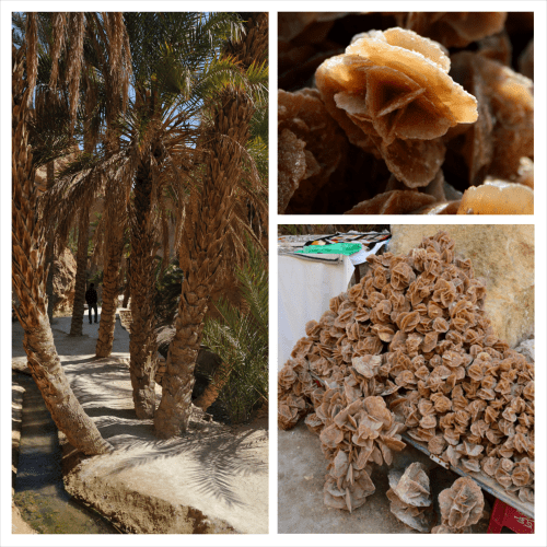 PhotoGrid_1399794217082