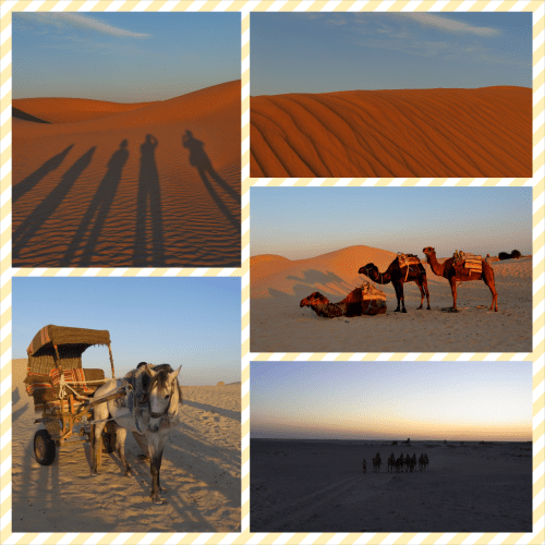 PhotoGrid_1399796058402