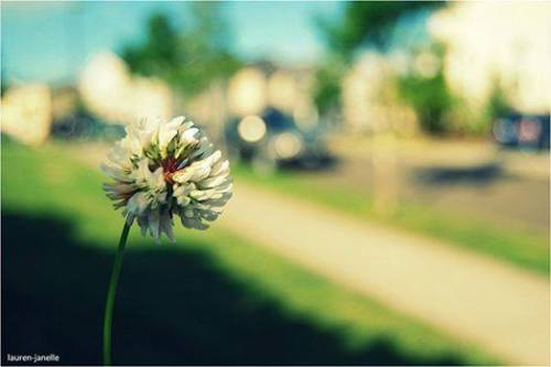 10442409_10152578689793933_4900948873157359114_n