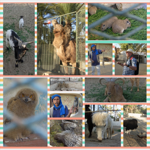 PhotoGrid_1402212497036