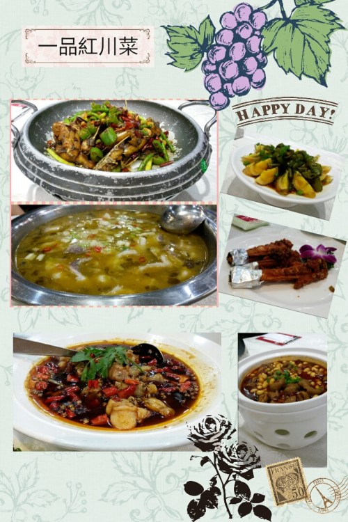 camerancollage2015_05_20_110814