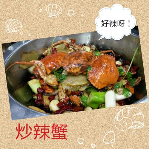 camerancollage2015_08_01_222055