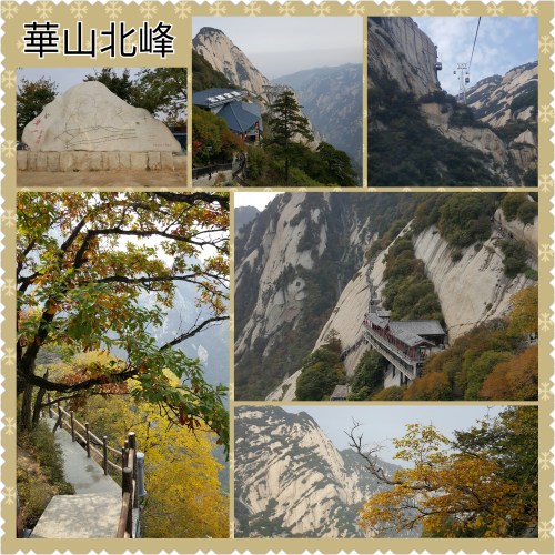 PhotoGrid_1445599712298