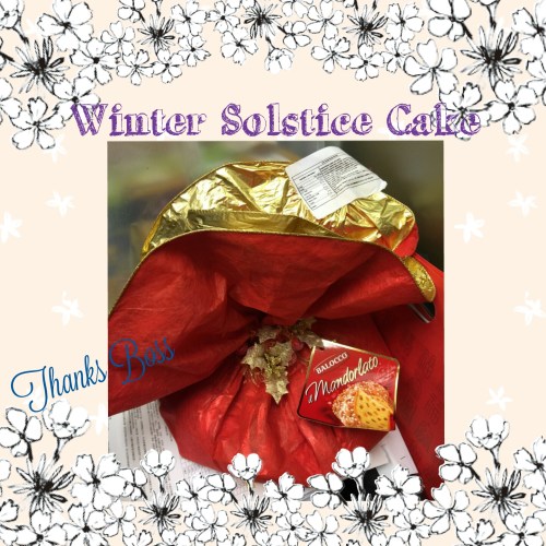 camerancollage2015_12_22_130328