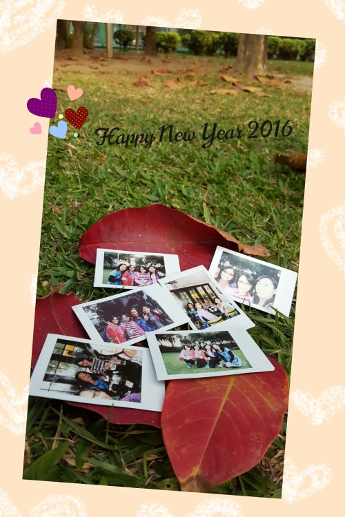 camerancollage2016_01_01_223709