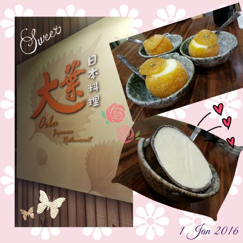 camerancollage2016_01_02_002325