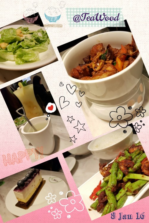 camerancollage2016_01_08_214140