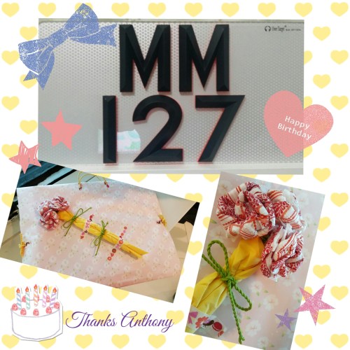 camerancollage2016_01_27_183623