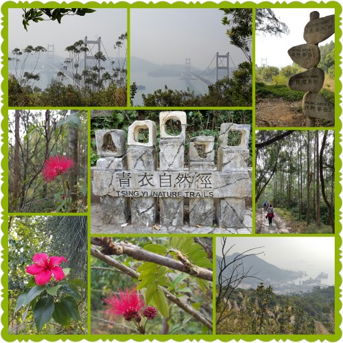 PhotoGrid_1451632277991