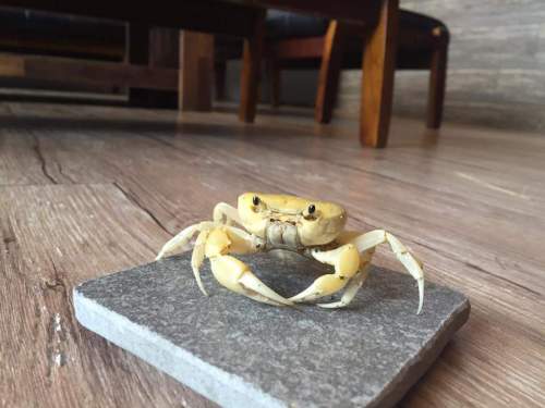 FB_IMG_1472461242249