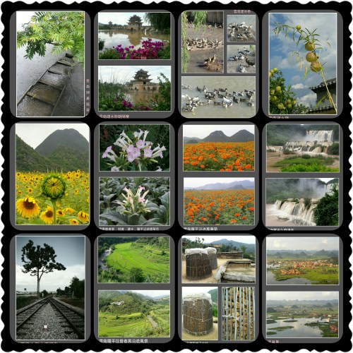 PhotoGrid_1472745406664