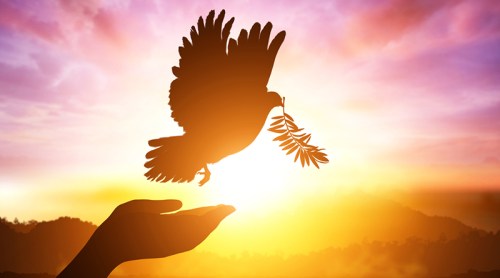 47%e8%a8%80%e8%ab%96%e8%87%aa%e7%94%b1%e6%97%a5%e5%8f%aa%e7%b4%80%e5%bf%b5%e4%b8%8d%e6%94%be%e5%81%87