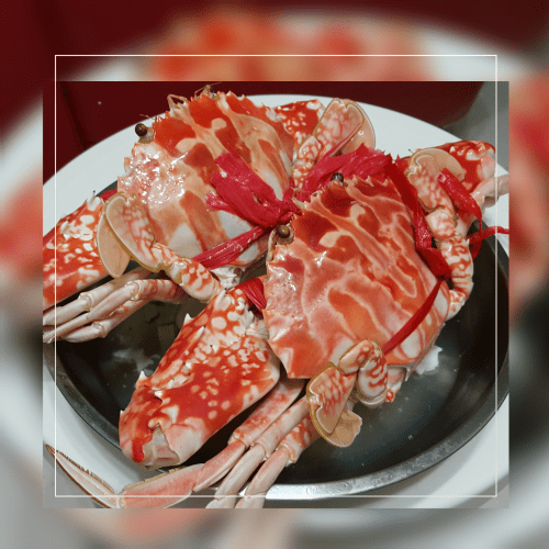 photogrid_1487591292211