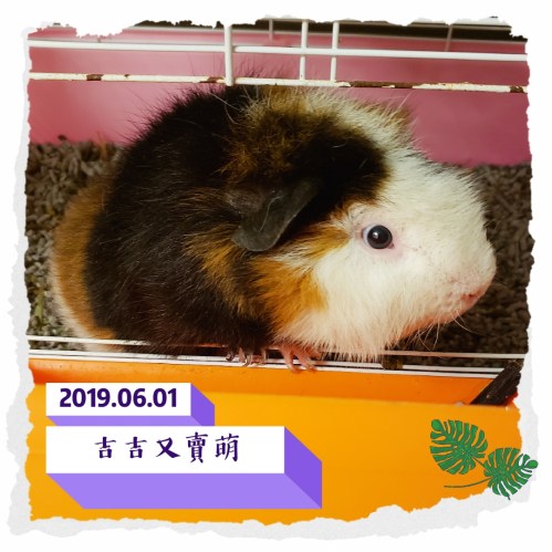 20190531_205529_mh1559308763915